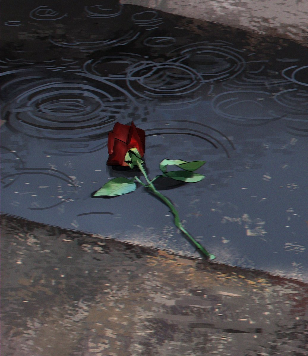 RamonN90 tweet media