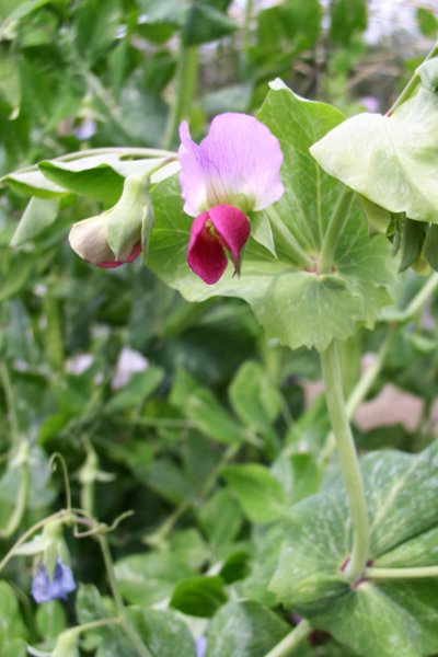 占いサロン順震(原宿当たる占い師5選、ヤフー占い売上No1占い師）1/24