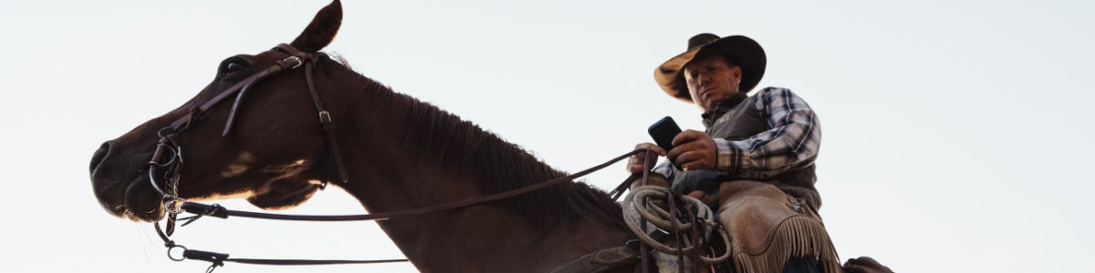 Progressive Cattle tweet media