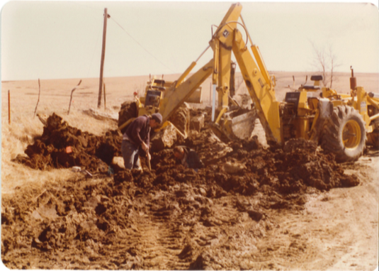 WTC Fiber tweet media