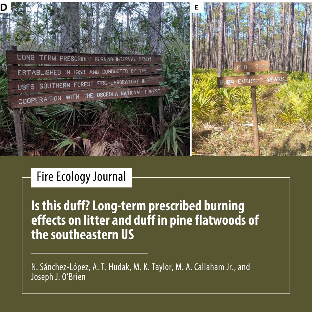 Association for Fire Ecology tweet media