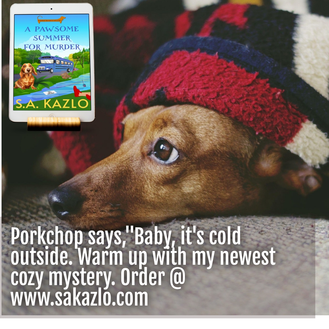 SAKazlo's tweet photo. Samantha Davies is geared up for a trout tournament. Instead of reeling in the biggest catch, she "hooked" into the town's activist, Luna Wheeler. Raylene Carrigan, owner of a doggie daycare Sam uses for her dachshund, Porkchop, is a suspect. Raylene begs her for help. https://t.co/pVzIvoBN0W