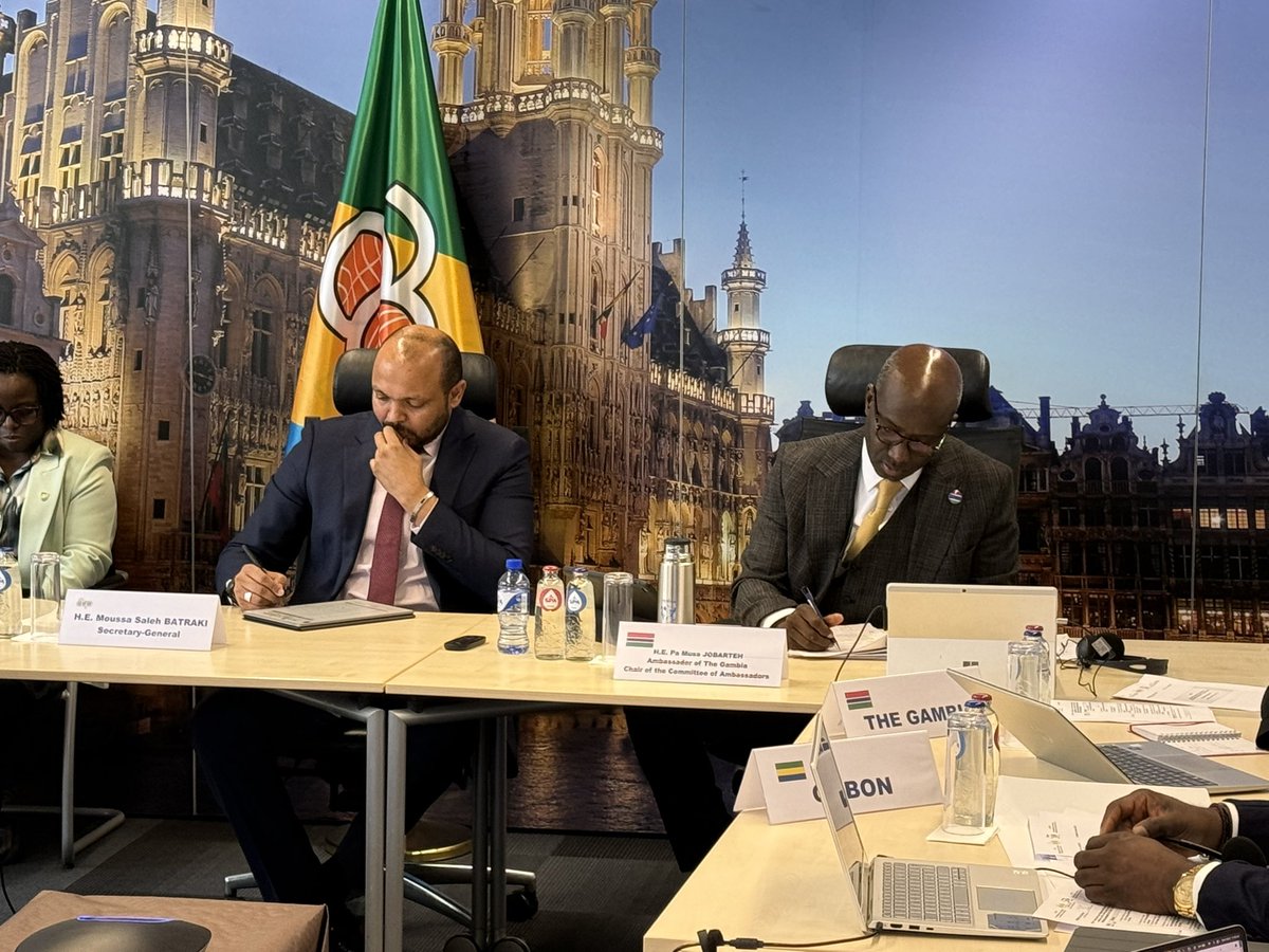 Immongault Regis tweet media