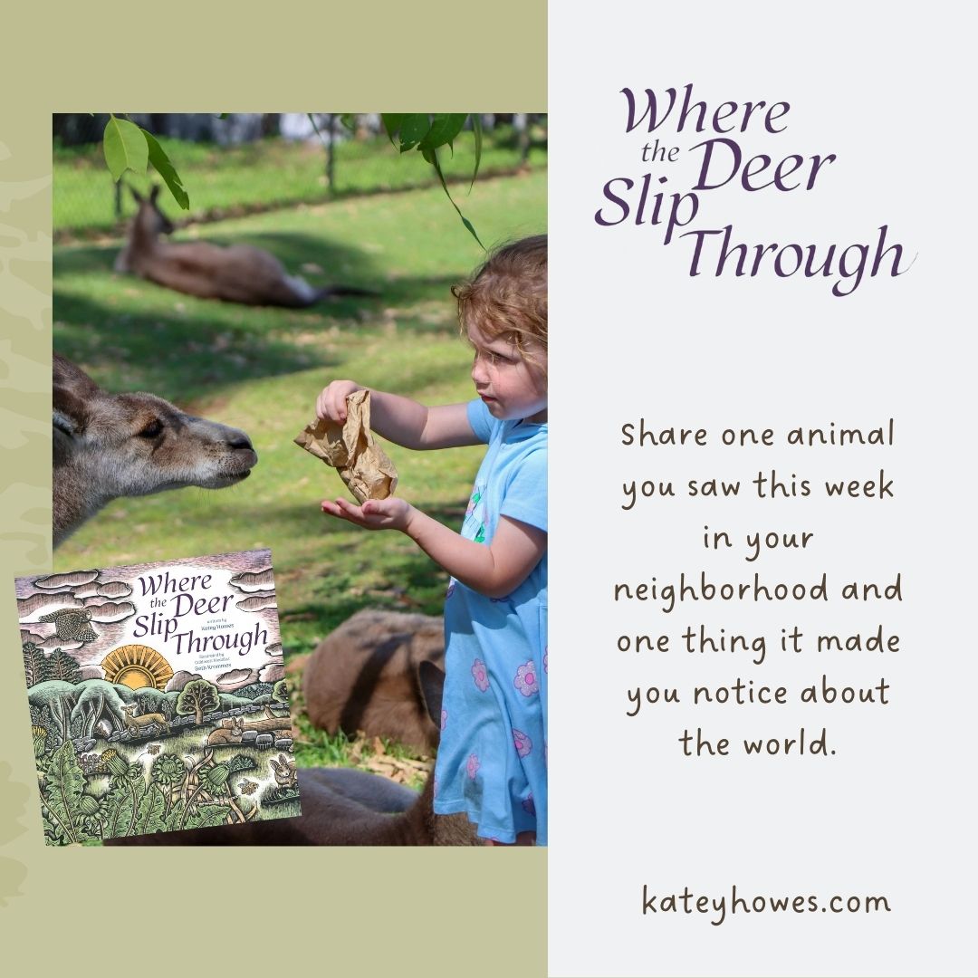 Katey Howes tweet media