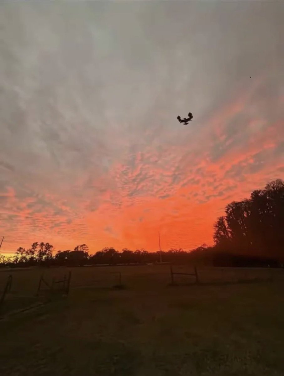 Can’t even go on a peaceful walk anymore