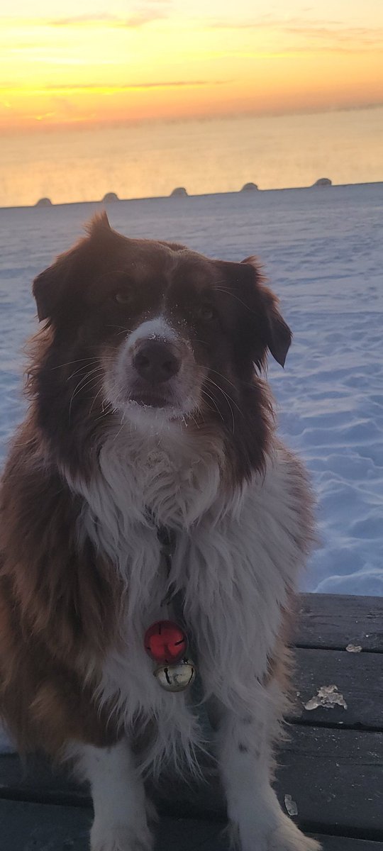 RiverEdge Superintendent tweet media