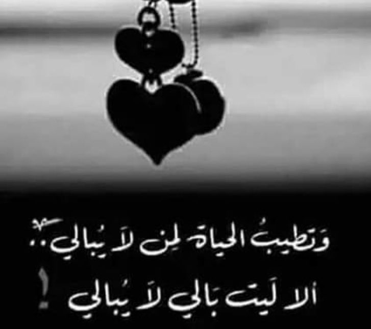 🤍
🤍

  ألا ليتَ بالي لا يُبالي  
ولا يهتم  بما  تَأتي الليالي

أعيشُ الدهرَ حرّاً من قيودي  
وأتركُ للزَّمانِ غداً سؤالي

#بوح_آخر_الليل ✨🦅