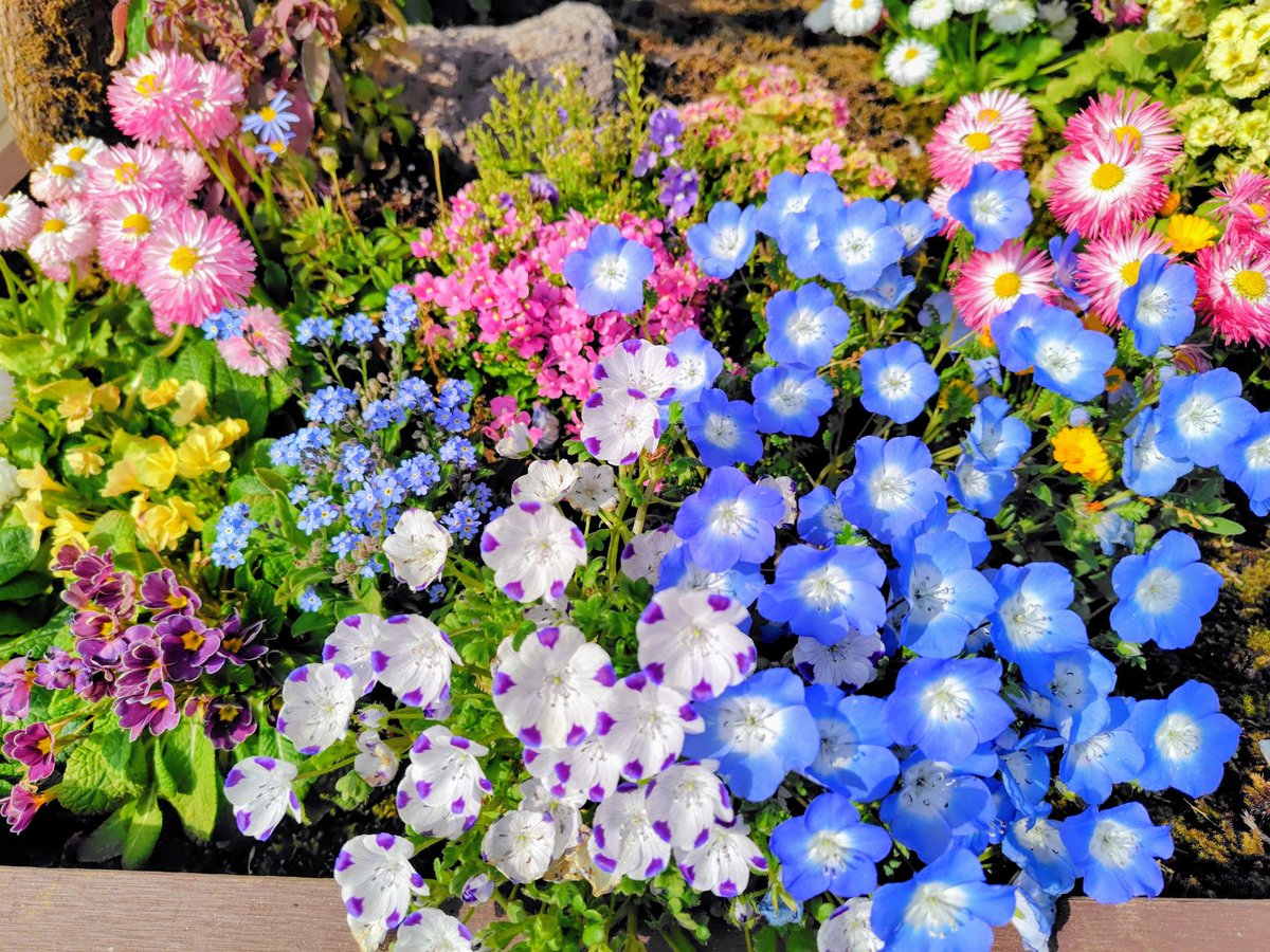 2月10日 火曜日.*ﾟஐ 今日 いいこと ありますように ⋆̥* ପ🔵ଓ