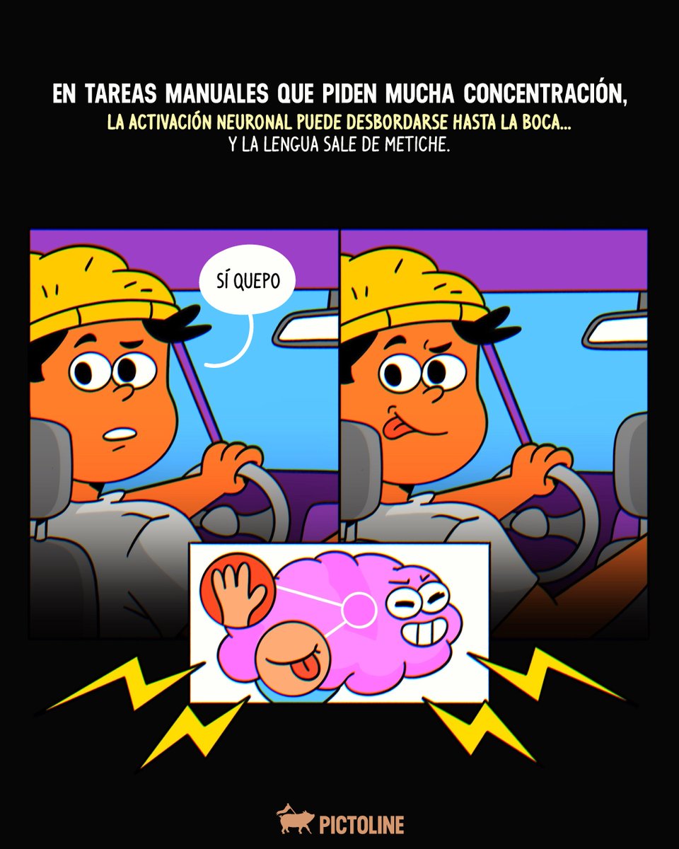 pictoline's tweet image. 👅 ¿Te concentras tanto que se te sale la lengua? 🧠

#cerebro #cerebro #concentration #lengua #ciencia #neuronas #datoscuriosos #pictoline