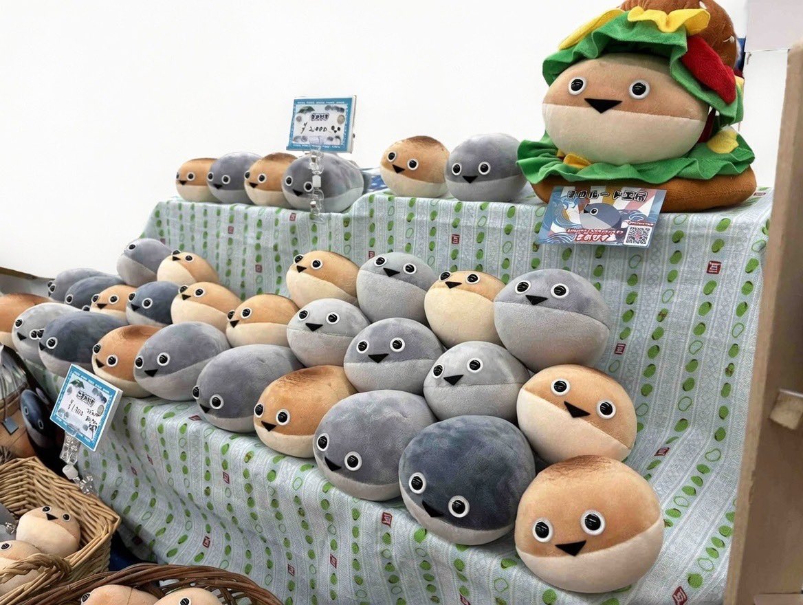 まめた@ 2/8 WF 4-24-05 まめルート工房 (@mametacos) / Posts / X