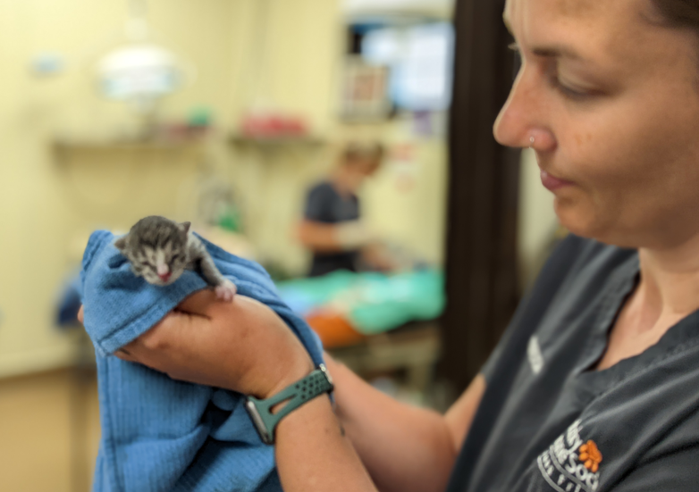 ASPCA Pro tweet media