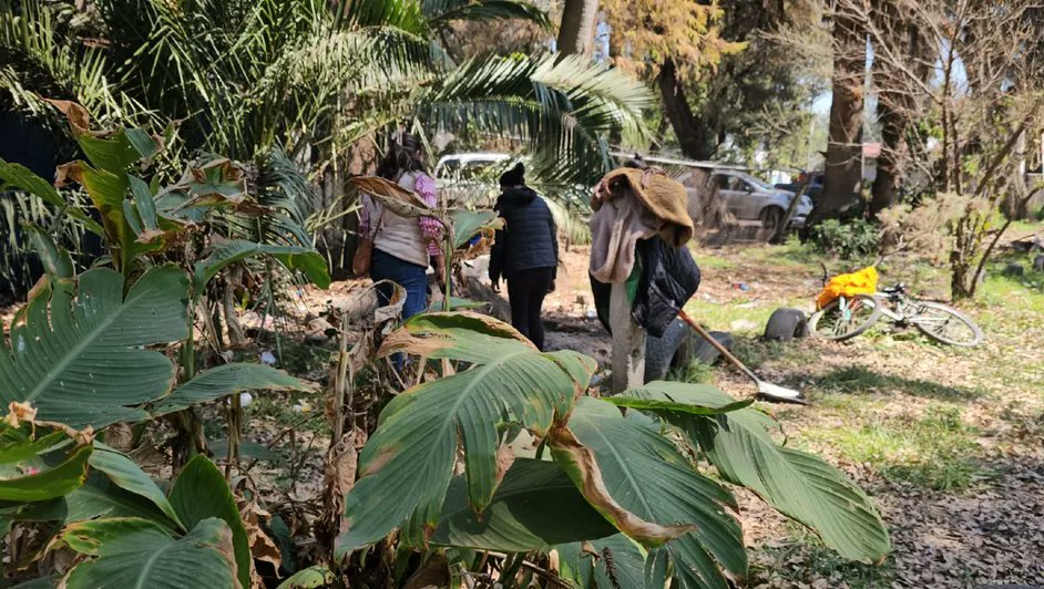 🔴 Hallan a perrita muerta y con signos de tortura extrema en el Bosque de Nativitas en Xochimilco; van 26 casos

De acuerdo con los denunciantes, la perrita era conocida por activistas y vecinos que desde hace años brindan alimento y cuidados básicos a los animales que viven en