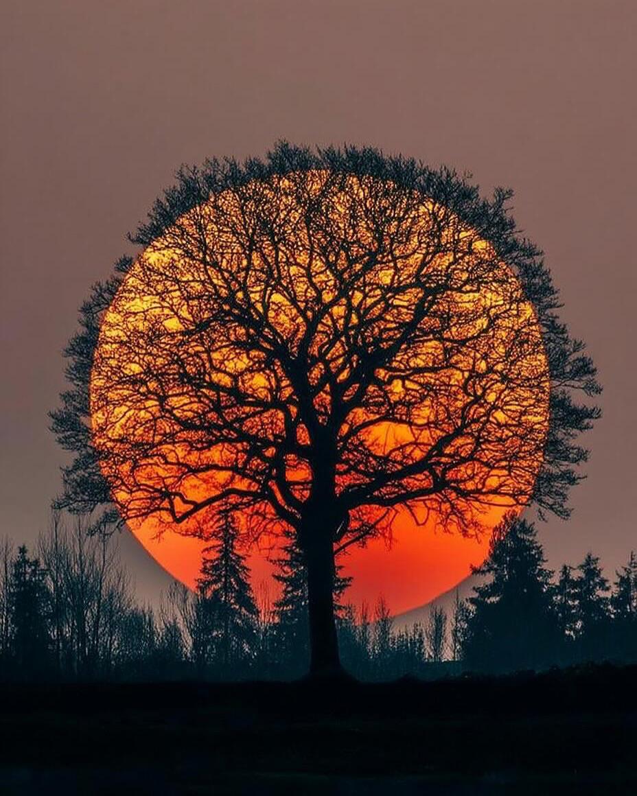 2025pics's tweet photo. Sunset https://t.co/hevbkwIRkJ