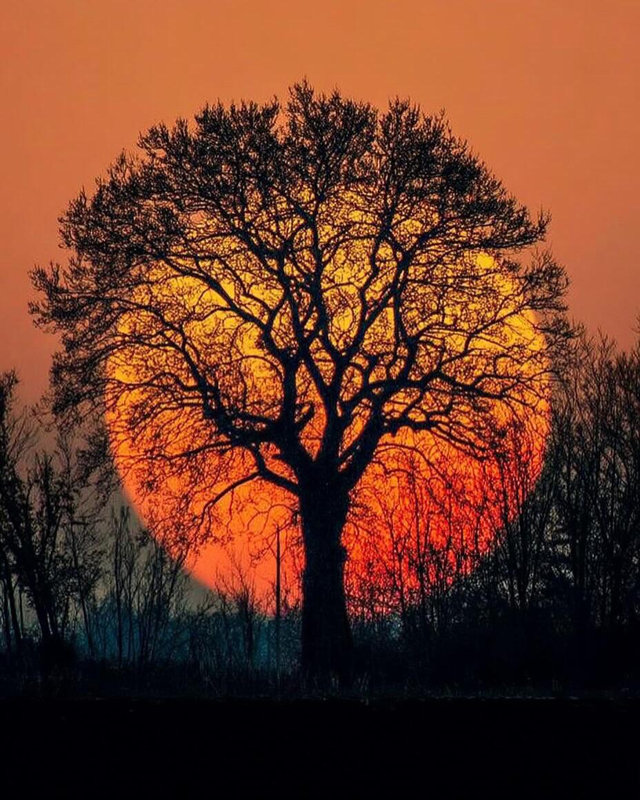 2025pics's tweet photo. Sunset https://t.co/hevbkwIRkJ