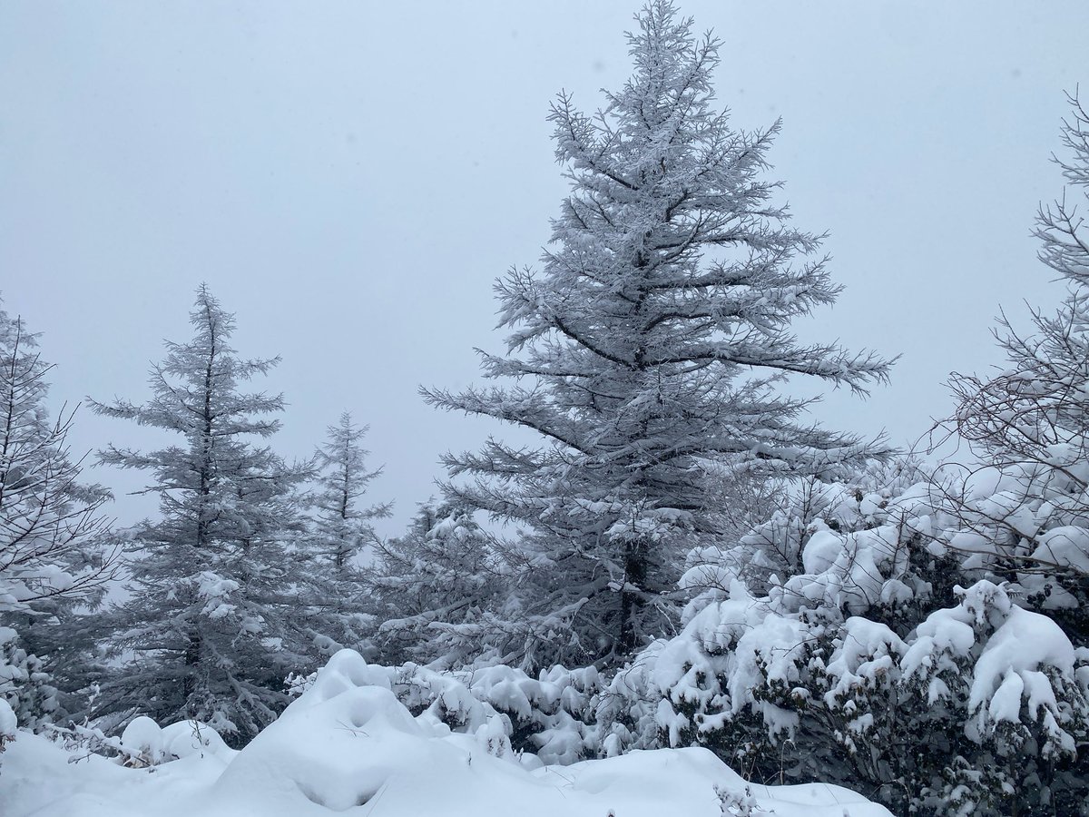 GoTToN67781334's tweet photo. 雪の丹沢主脈縦走
蛭ヶ岳まできつかったけど翌日快晴で最高でした！ https://t.co/o7YI5vNEuD