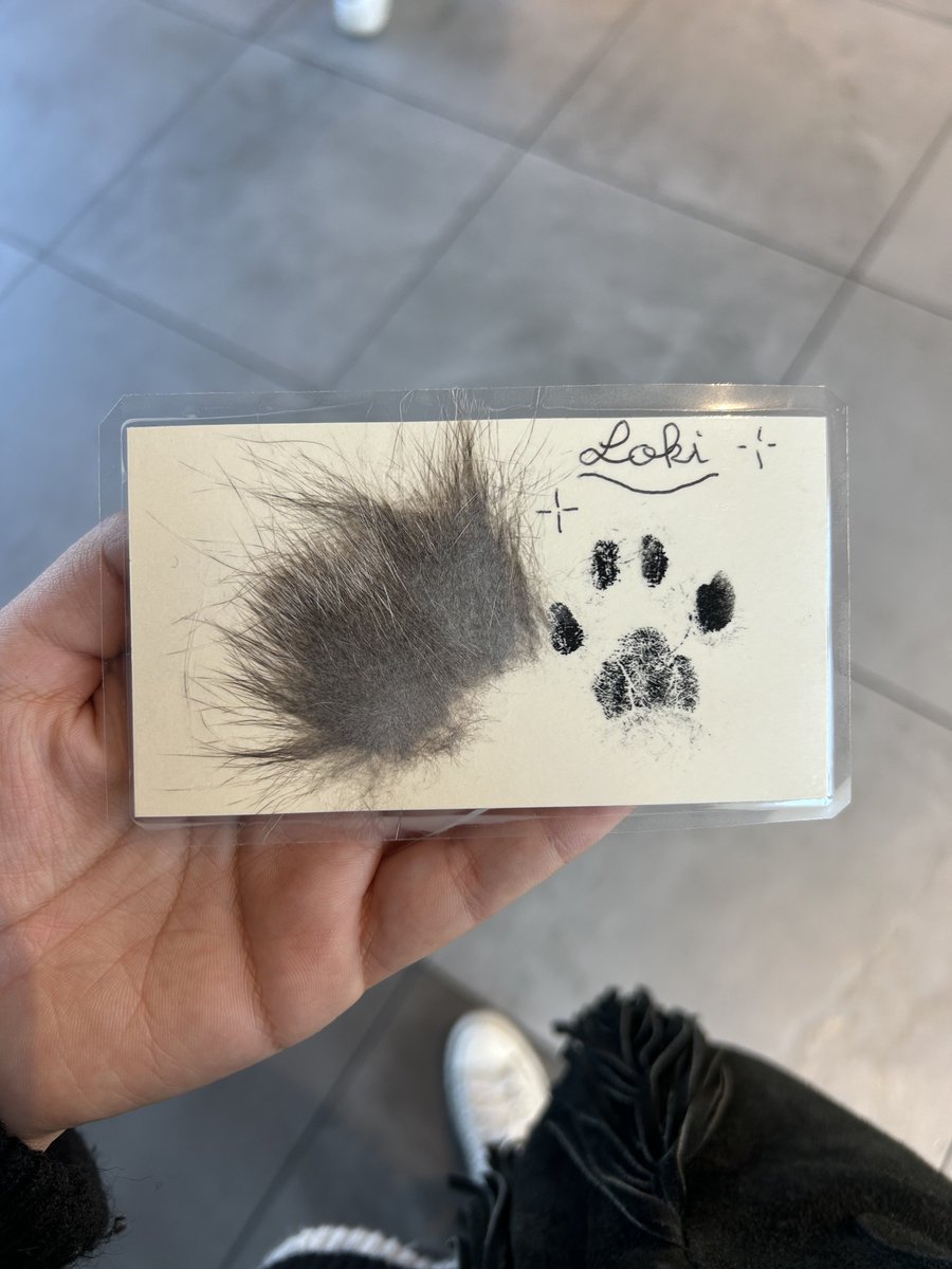 Legrams 🥷🏼 tweet media