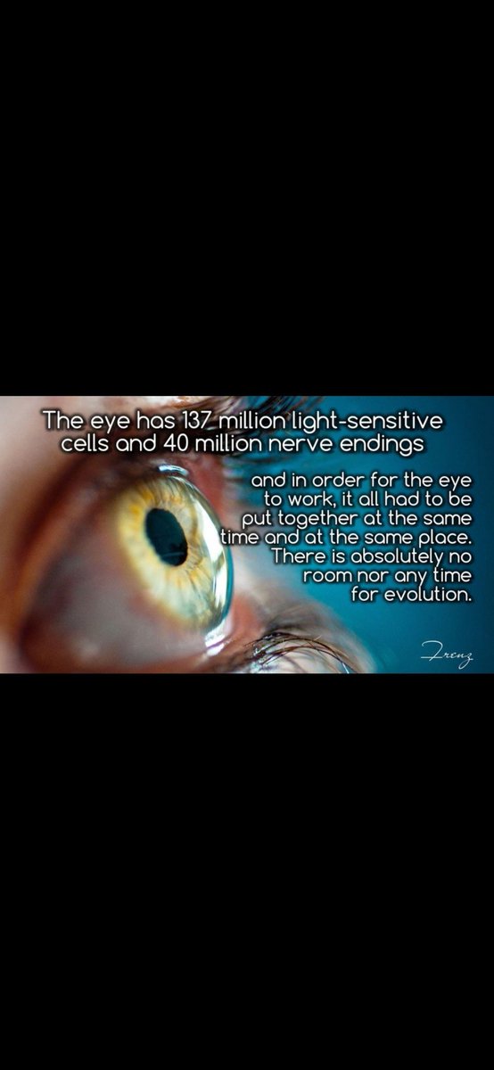 Mrs Anderson tweet media