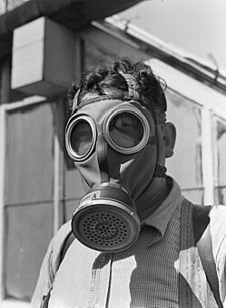 The Dictionary tweet media