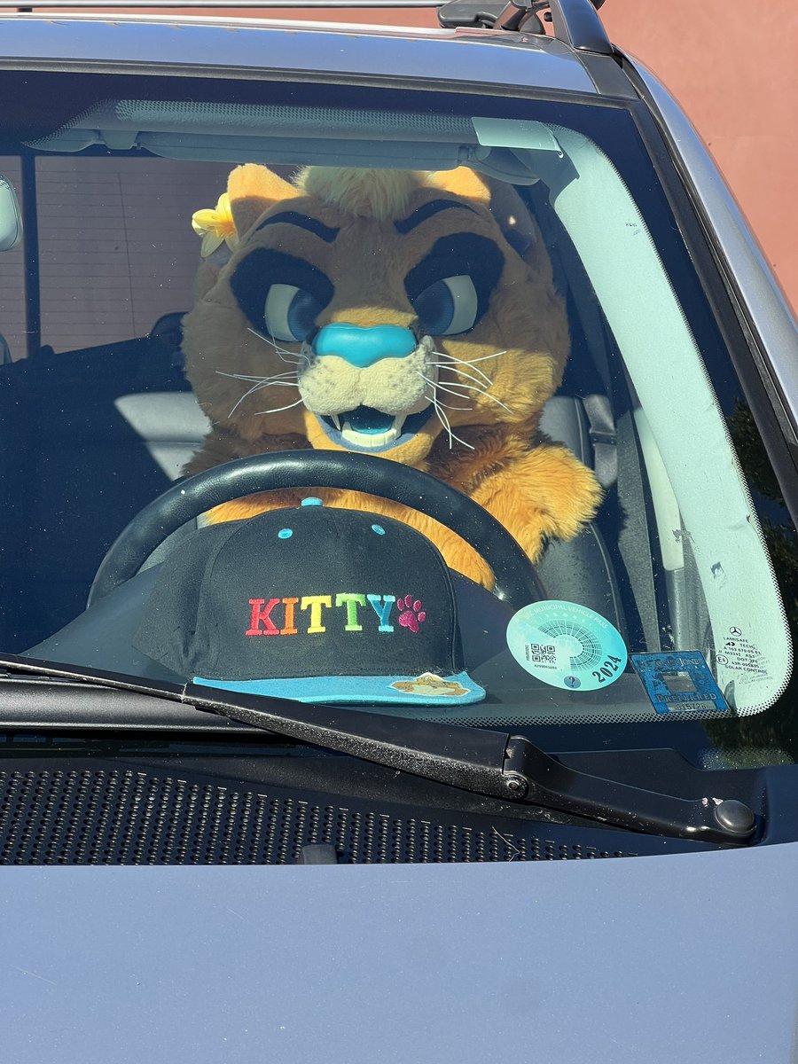 RadiCal Puma tweet media