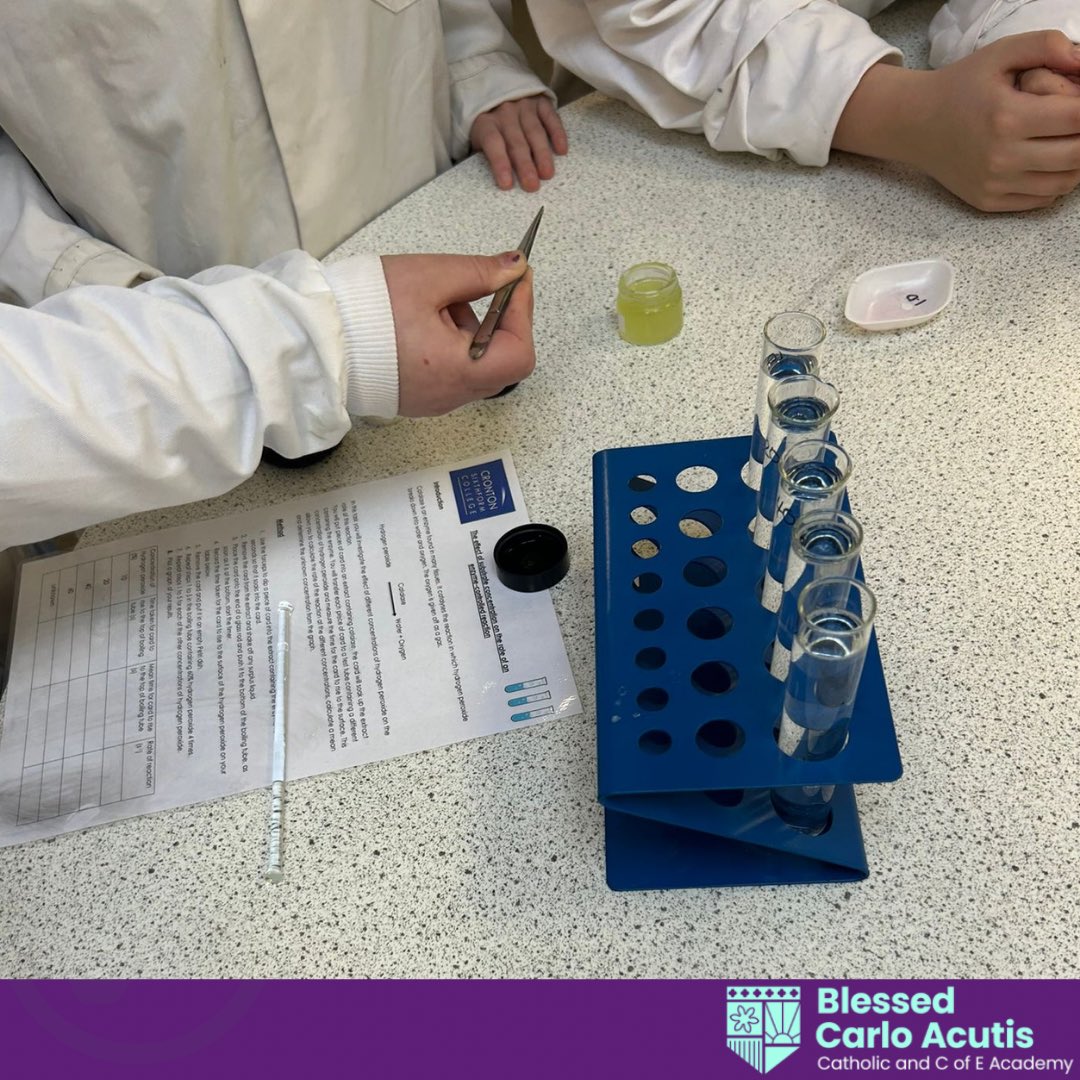BlessedCarloA's tweet photo. Eight of our fabulous year 10 students took part in the MOND trophy at @crontoncoll
They competed in Maths, Science, Engineering and Technology challenges throughout the day, and showed excellent teamwork, perseverance and respect!
#perseverantia #respicio 
@StJosephCMAT https://t.co/W0ID3d0fxn