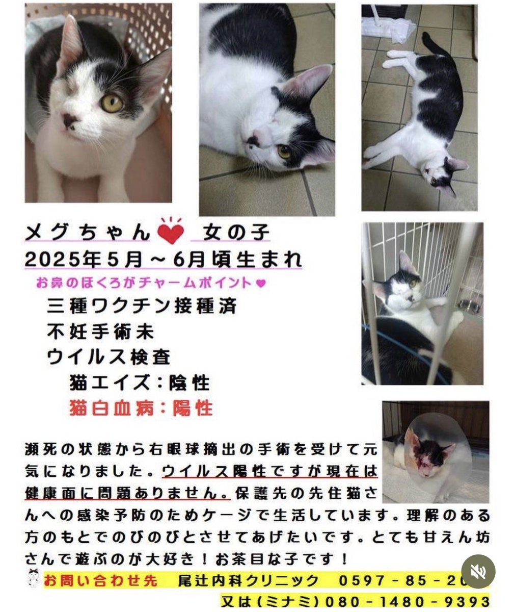 ひろりん (@makiba777jp) / Posts / X