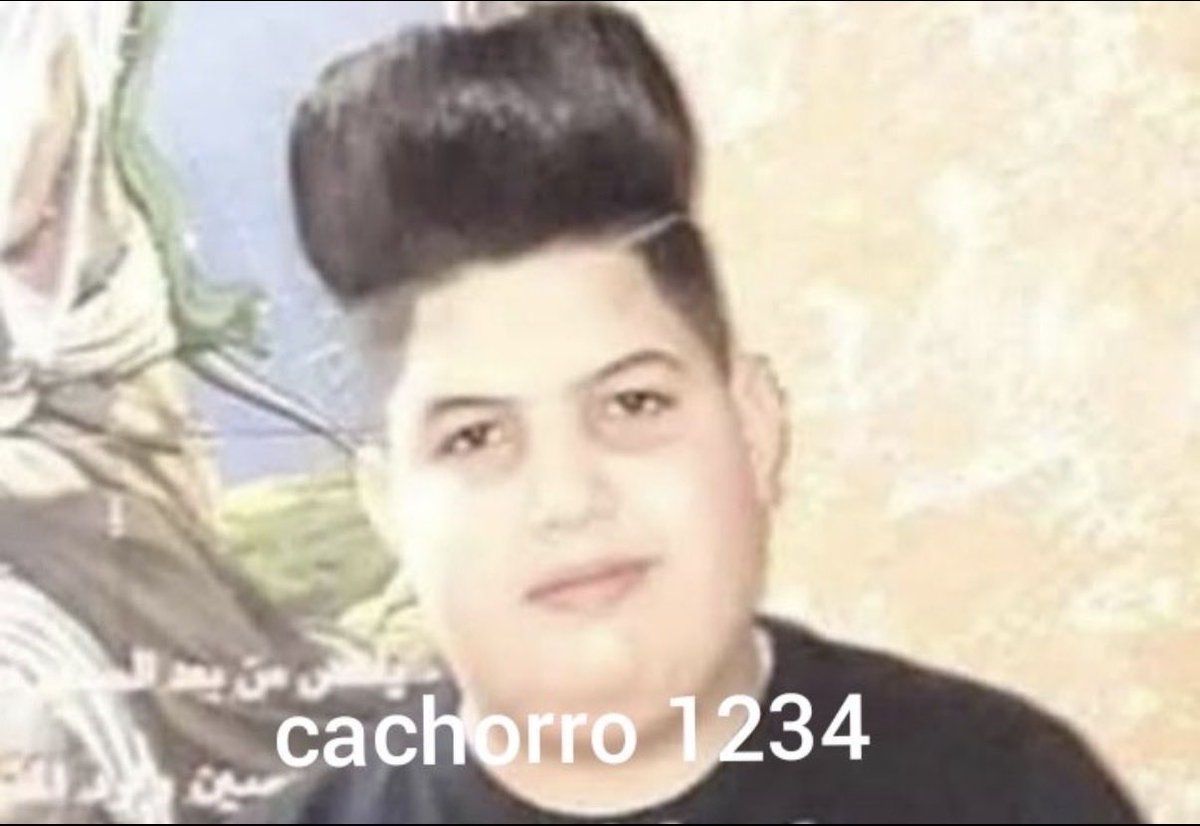 Cachorro1337 tweet media