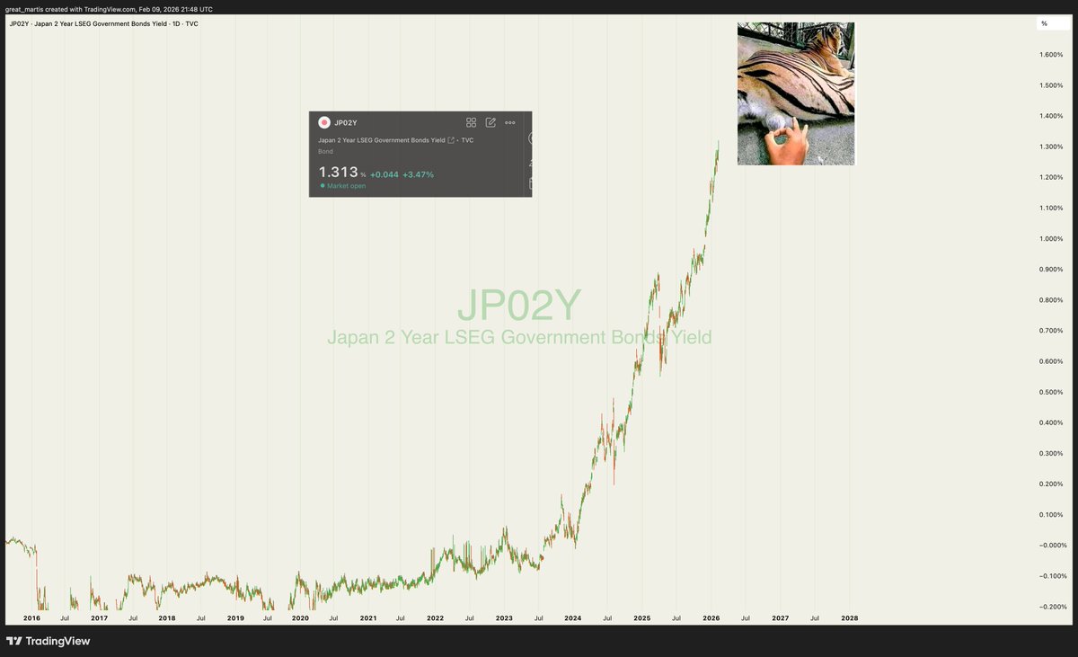 Japan's 🇯🇵2yr yield hits 30 year highs.

It's probably nothing.