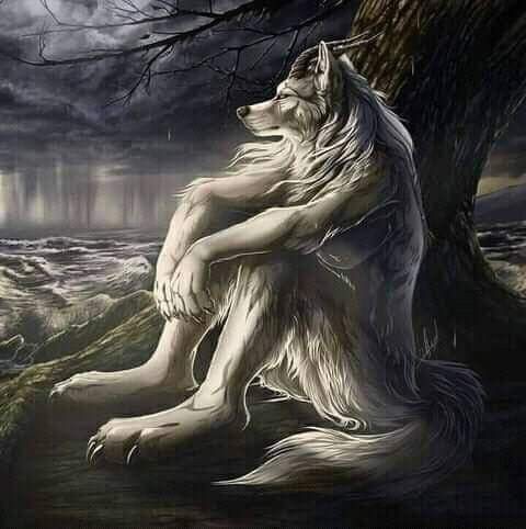 ele tem a estrutura óssea de um alfa vocês não entenderiam meus pensamentos