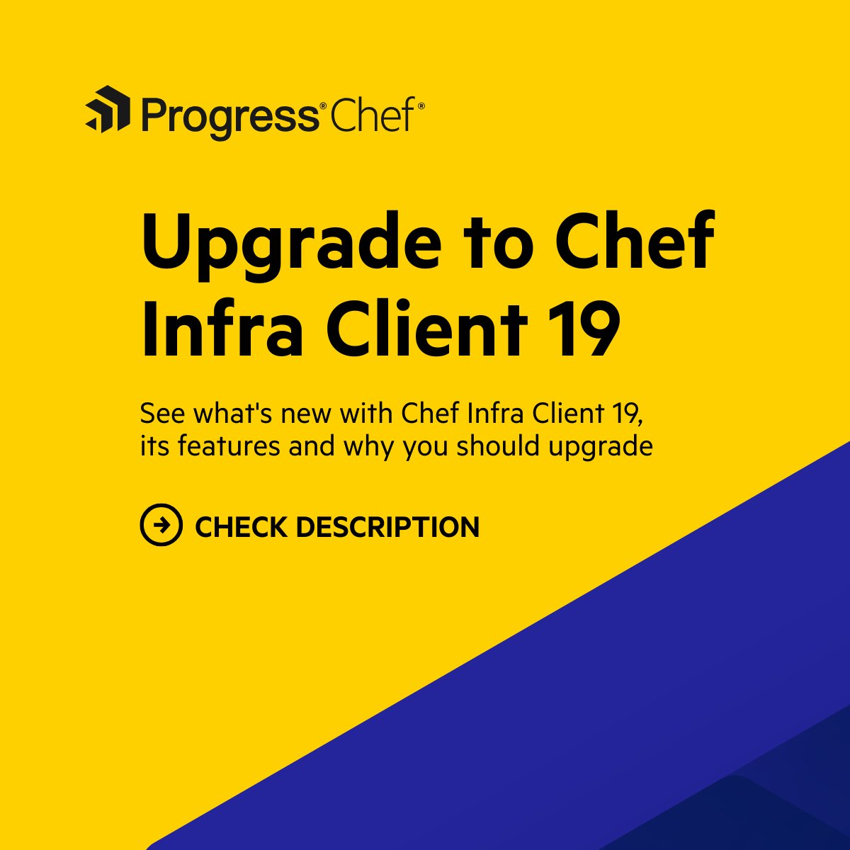 Progress Chef tweet media