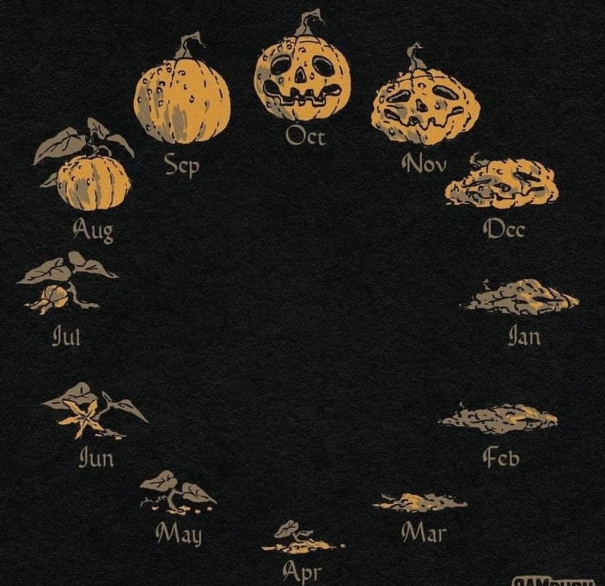 soli (@solisolsoli) on Twitter photo 