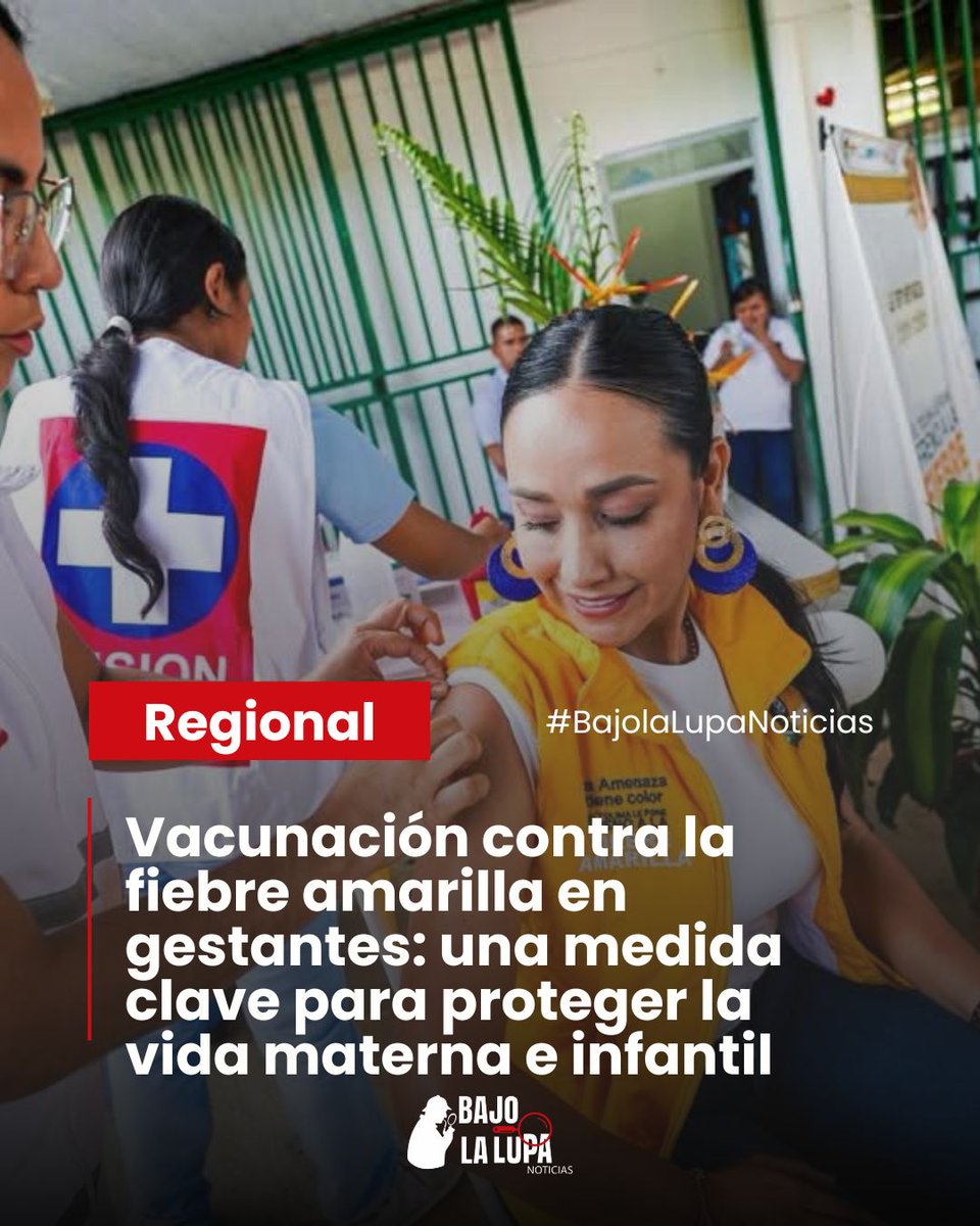 #Tolima #Salud #FiebreAmarilla 💉A partir de la semana 12 de embarazo, y siempre bajo la orientación del profesional de salud, las mujeres gestantes pueden recibir la vacuna contra la fiebre amarilla <a href="/Saludtolima/">Saludtolima</a>
facebook.com/share/p/1EzTLV…