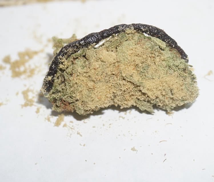 Kiet coated Berry White bud and a sour d hash snake 🐍 about to get ...