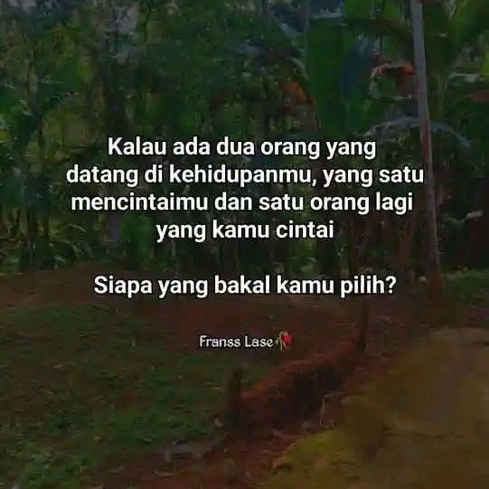 Ketawa itu GRATIS 🛩 tweet media