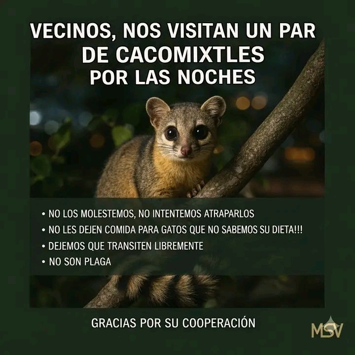Manuel013Manolo's tweet photo. @ColoniasdeBJ @En_Narvarte @BJAlcaldia @ColIndependenc1 https://t.co/9je3eDsKSG