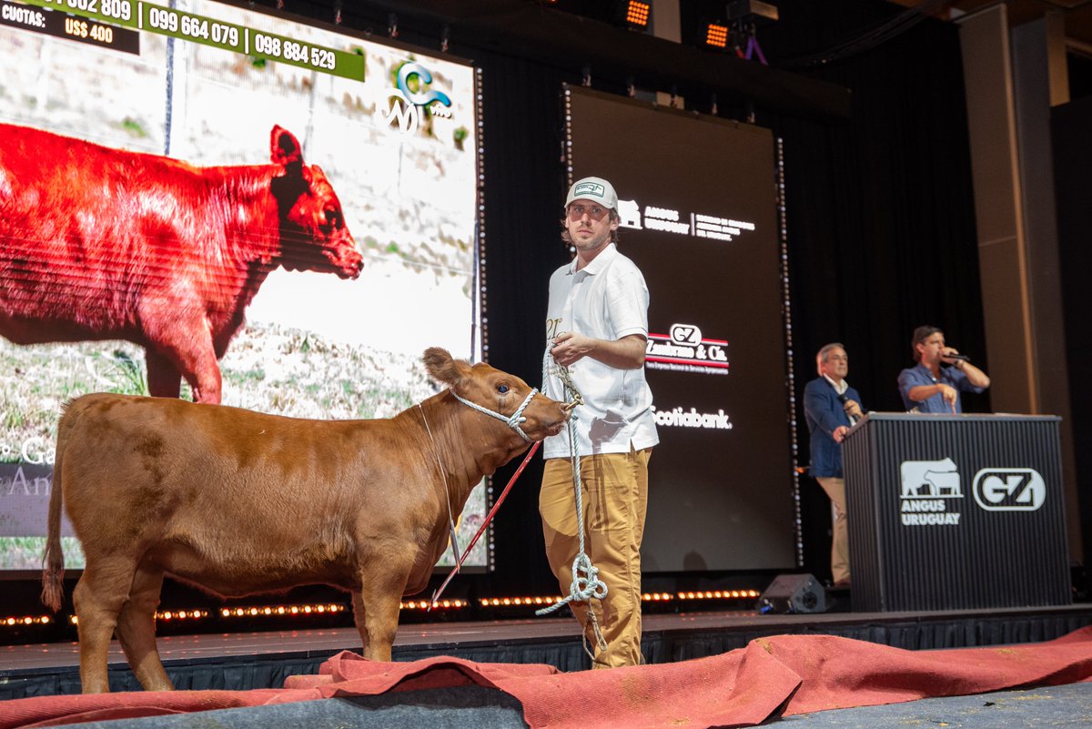 Angus Uruguay tweet media