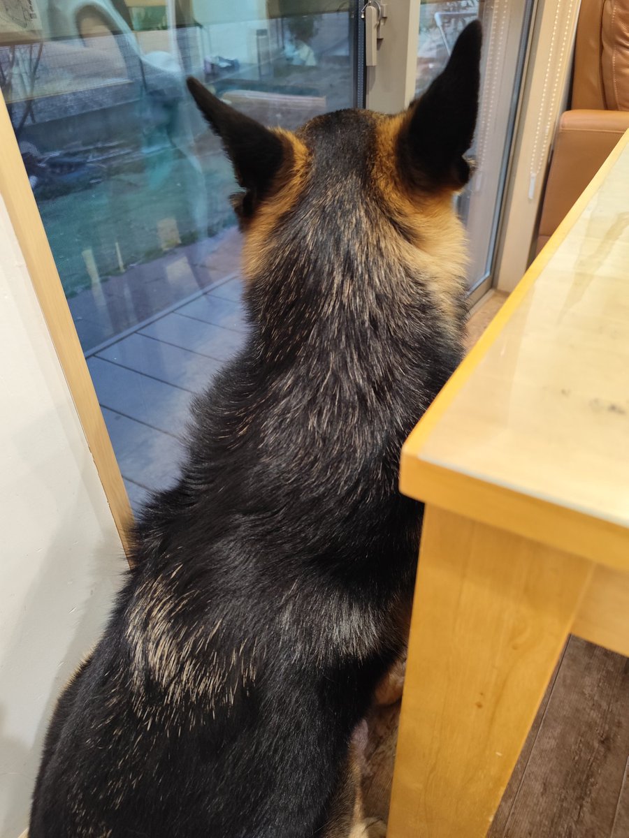 こっち向いてよ〜