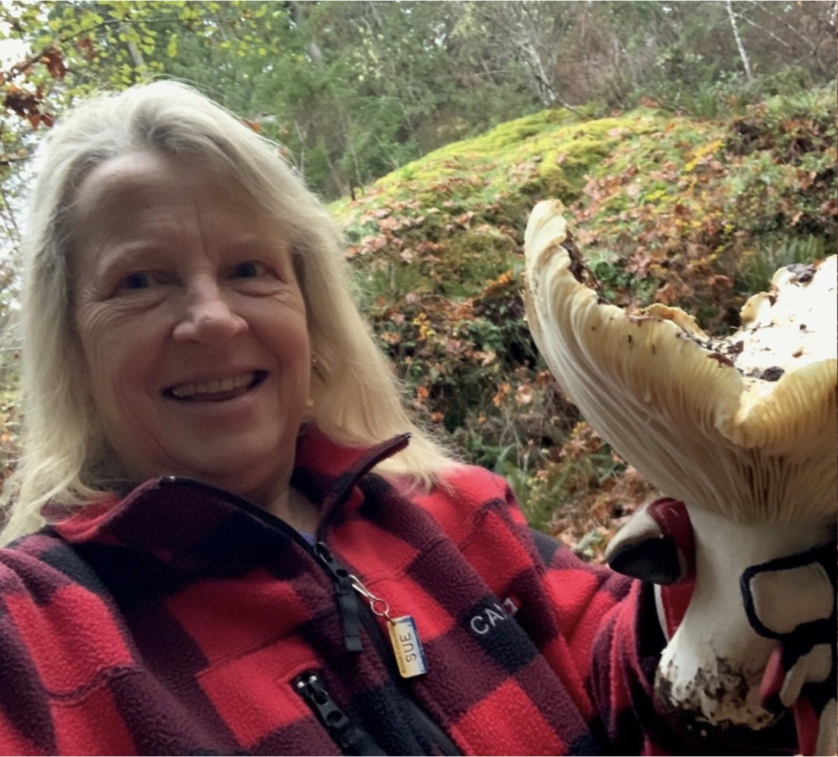 UBC Faculty of Land and Food Systems tweet media