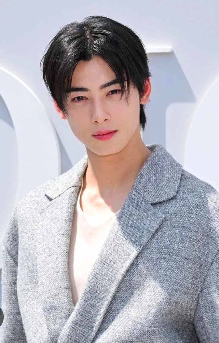 #RespectChaEunwoo #SupportELSEAlbum #LetEunwooShine 
#EunwooShield
Serás como el Ave fénix...