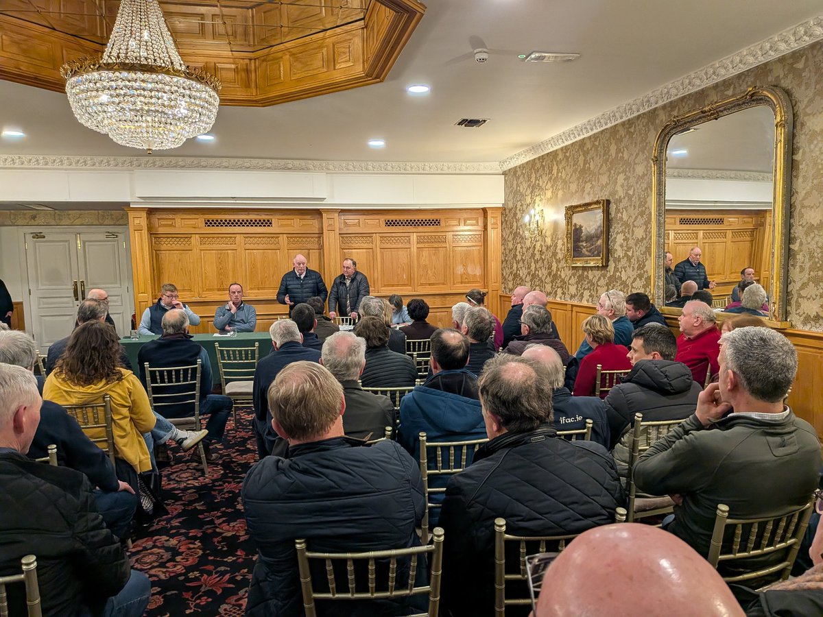 Réada Cronin TD 🇮🇪🇵🇸 tweet media