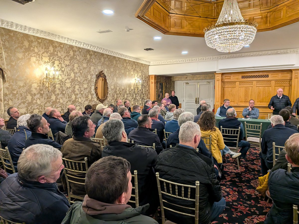 Réada Cronin TD 🇮🇪🇵🇸 tweet media