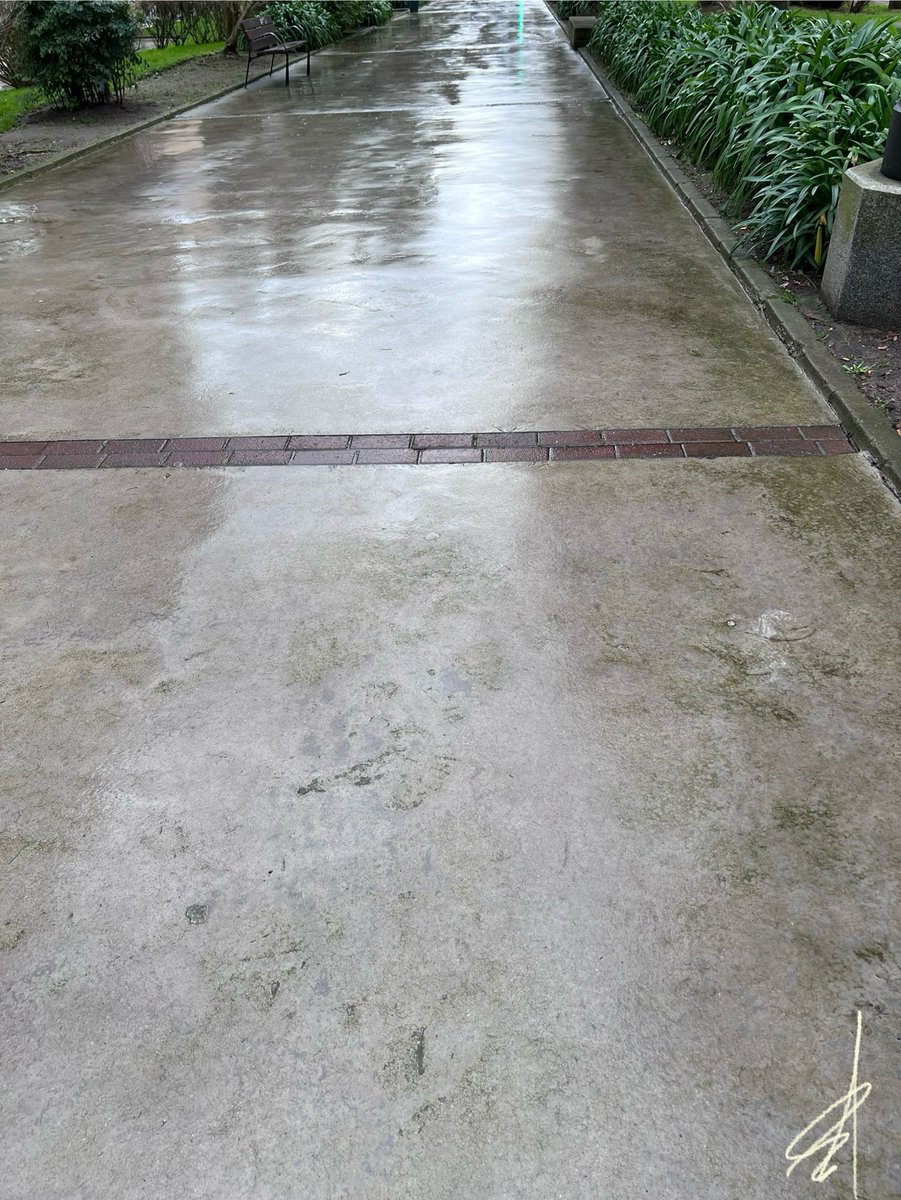 ¡Qué mejor espejo del cielo!