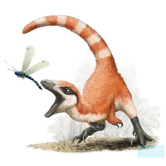john_furry_'s tweet photo. @FR0TTAGEC0RE sinosauropteryx.... one of the first fellas we knew the colors of. he's an orange creamsicle with a bandit mask. beautiful creature https://t.co/Mx54pv77Ld