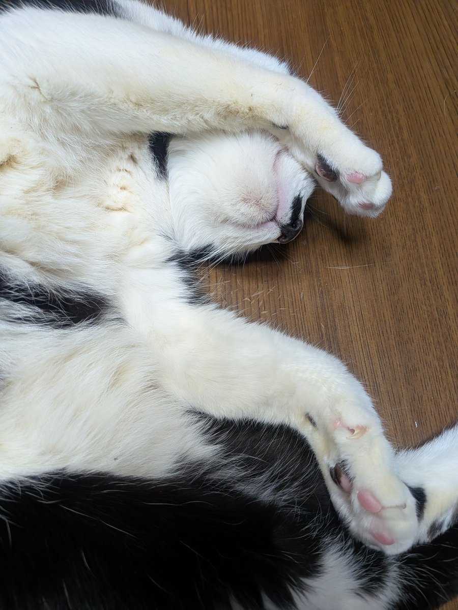 おはようございます
明日は休み
休みだからなんとか耐える