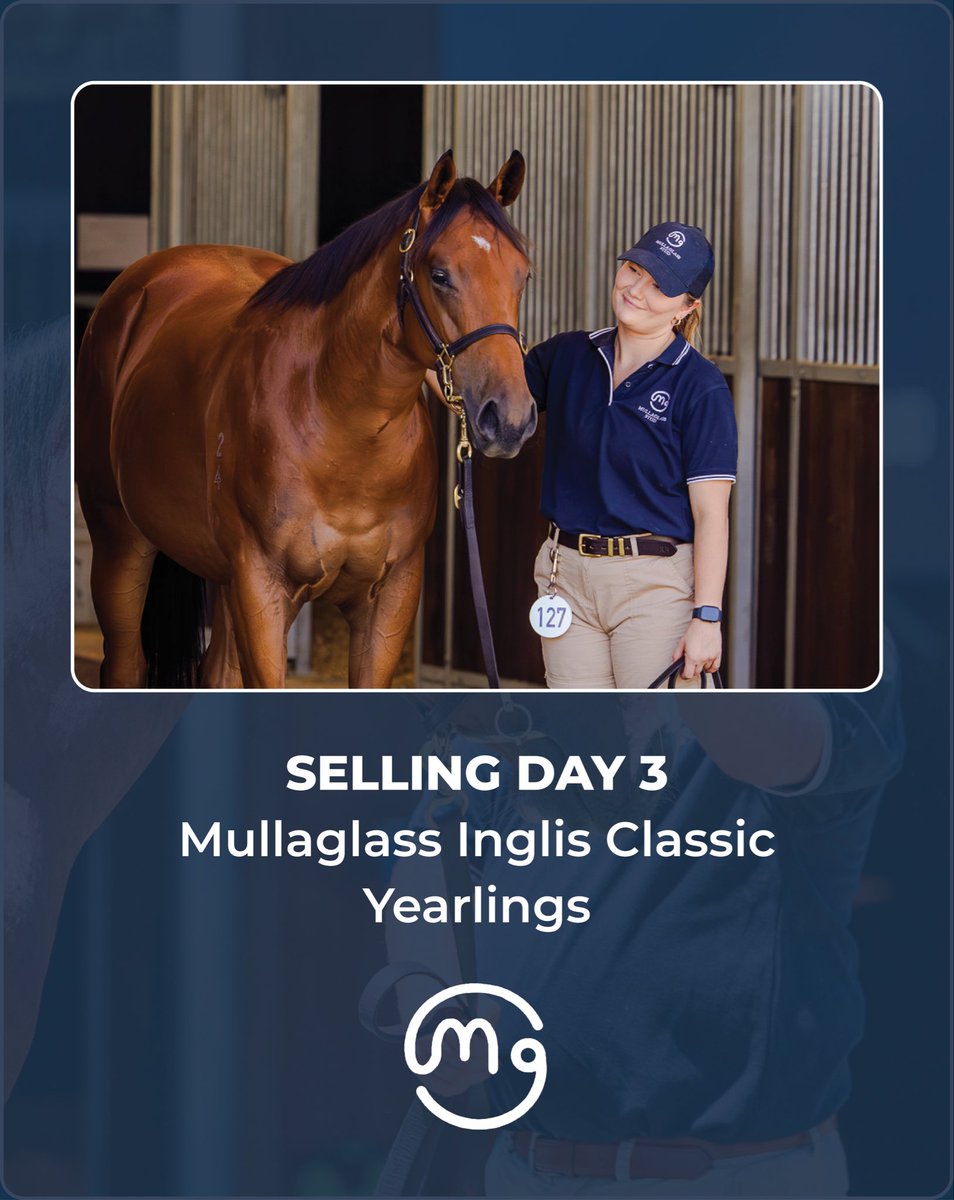 Mullaglass Stud tweet media