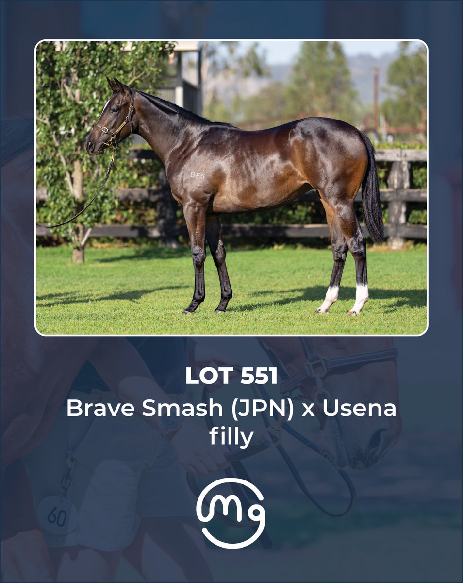 Mullaglass Stud tweet media