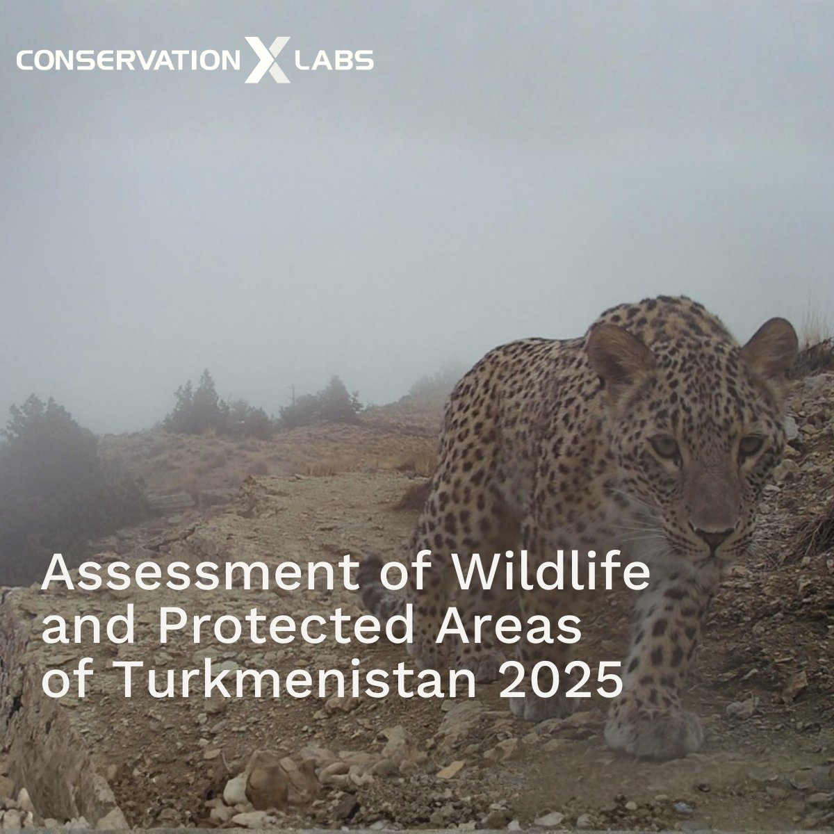 Conservation X Labs tweet media