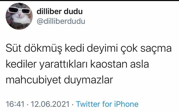 eskitvitlerr's tweet photo. https://t.co/U21Mtih2b0