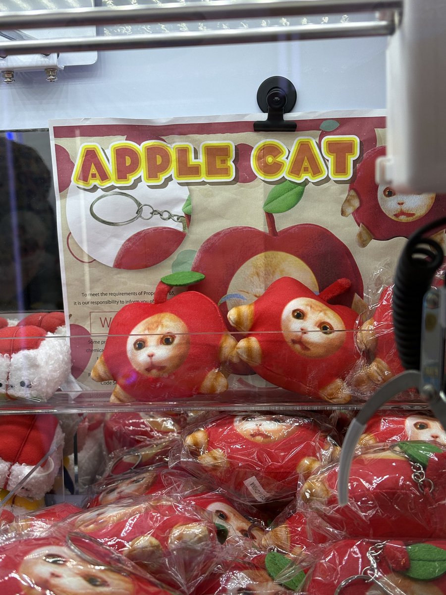 anyway i’m free from work so gonna go back to kiddleton and try to get an apple cat