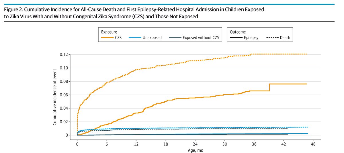 JAMAPediatrics's tweet image. Among children born in Brazil, this cohort study found that CZS is associated with early childhood #epilepsy-related hospital admissions, regardless of head circumference status. ja.ma/4qSBSPZ