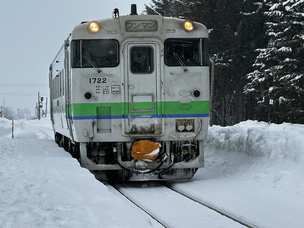 ぷくぷく CHIP (@PukuChip1) / Posts / X